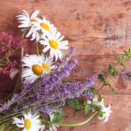 Chamomile and lavender tea